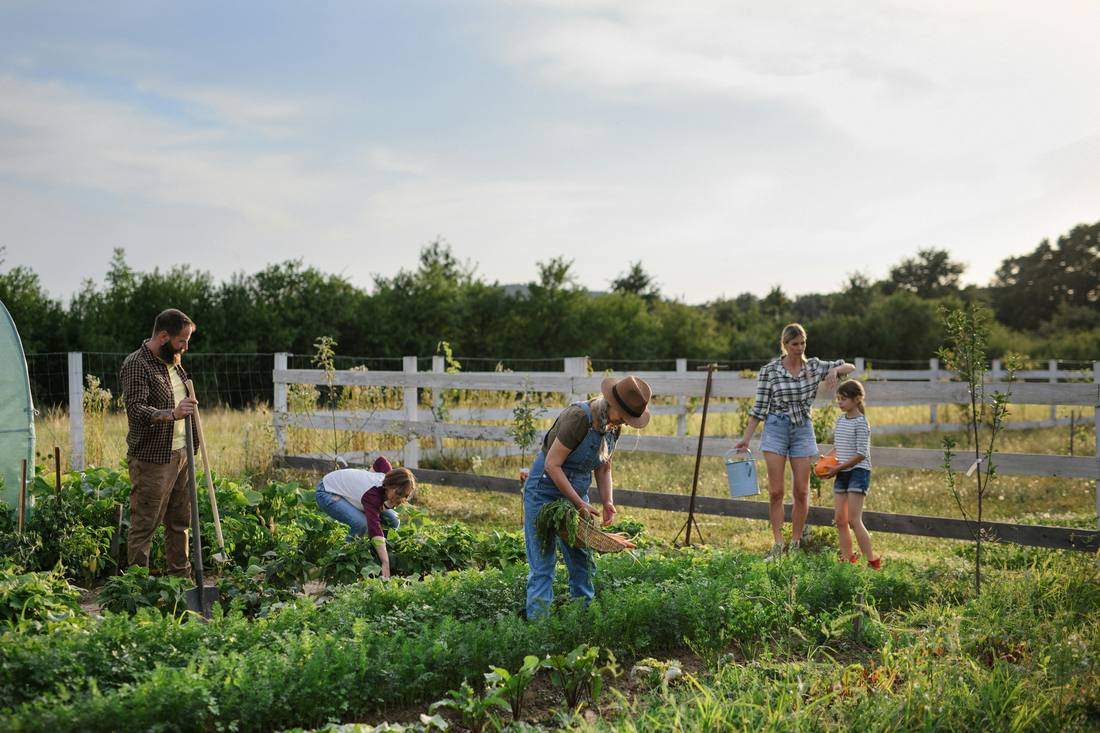 Neighbors tending the community garden
